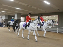 東京府中競馬場