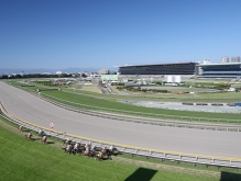 東京府中競馬場